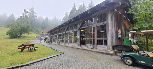Pilchuck 2023 Networking Class with Eunsuh Choi